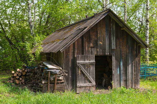 istock old wooden house in the woods 854899726