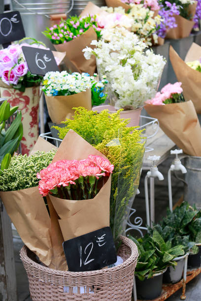 istock variety of flora 854903944