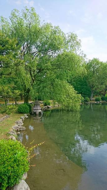 istock Japanese garden in Toyama, Tonami 854912812