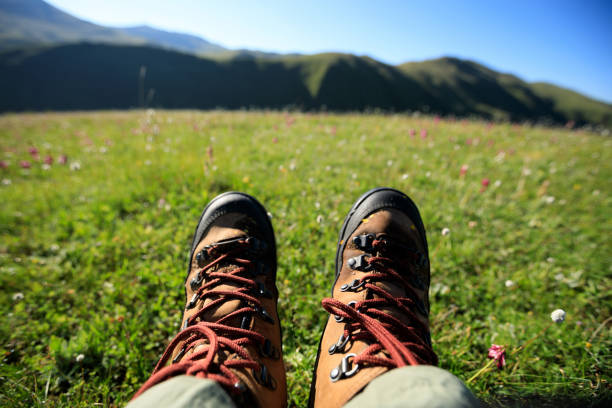 istock hiking legs on flowering grassland mountain top 854946246