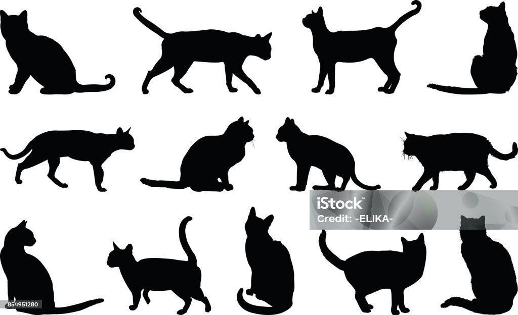 Katzen-silhouette - Lizenzfrei Hauskatze Vektorgrafik