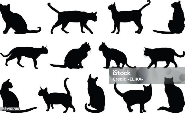 Vetores de Silhueta De Gatos e mais imagens de Gato doméstico - Gato doméstico, Silhueta, Ilustração e Pintura