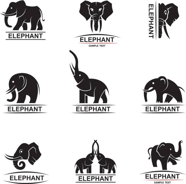 elephant icons set monochrome collection of elephant logos elephant vector illustration stock illustrations