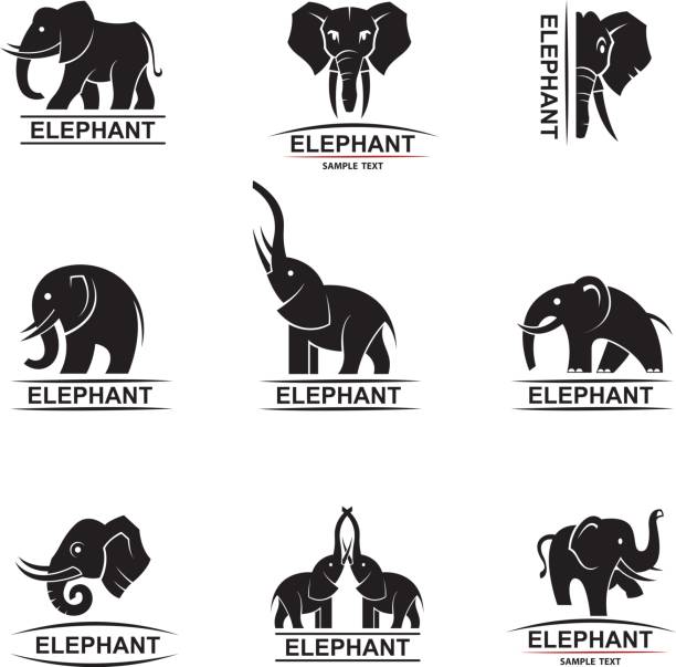 elephant icons set monochrome collection of elephant logos tusk stock illustrations