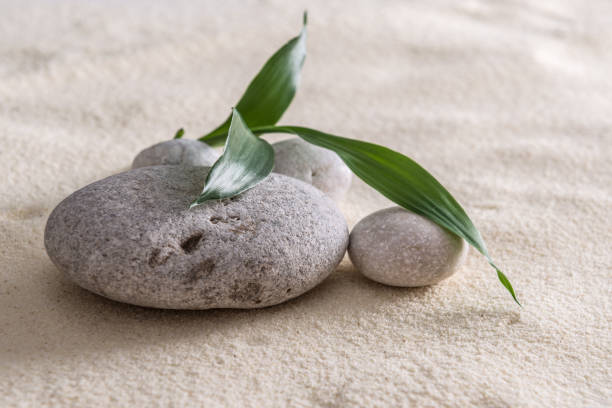 istock stones and bamboo on the sand, Feng Shui 854981800