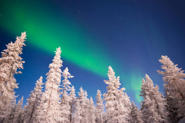 istock Northern lights, Aurora Borealis in Lapland, Finland 854984346