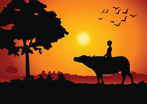 sunset landscape and country life with a boy ride on buffalo back around with tree.countryside of east lifestyle.vector illustration