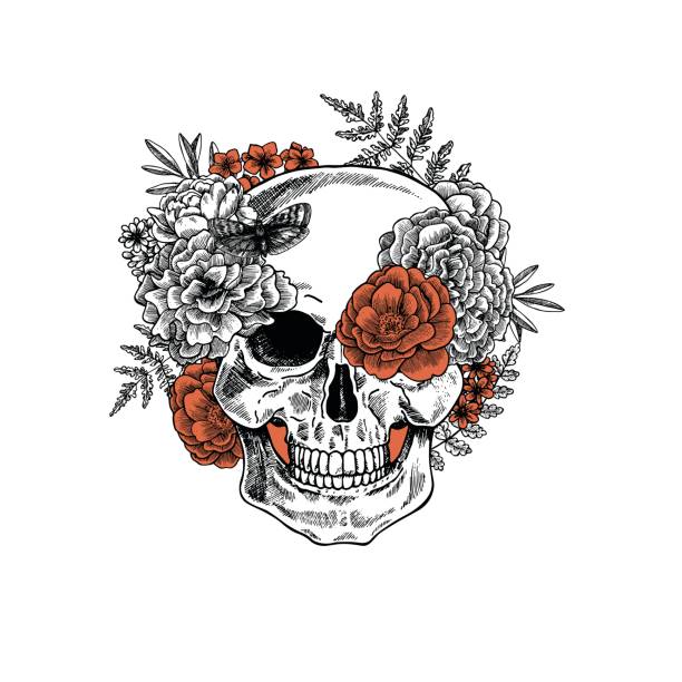 Tattoo anatomy vintage floral skull illustration. Floral skeleton. Vector illustration Vector illustration gothic art stock illustrations