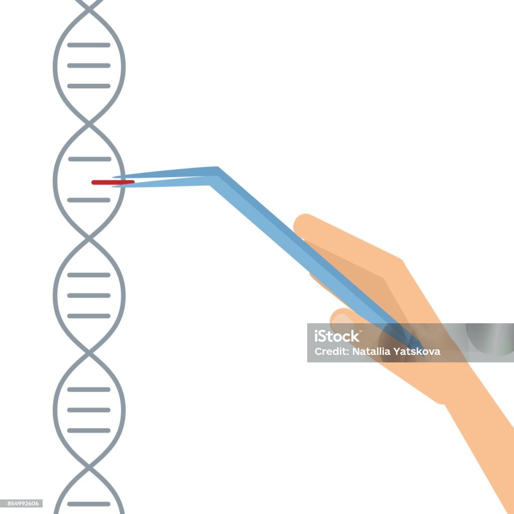 DNA-Sequenzierung Genom Informationen speichern - Lizenzfrei CRISPR Vektorgrafik