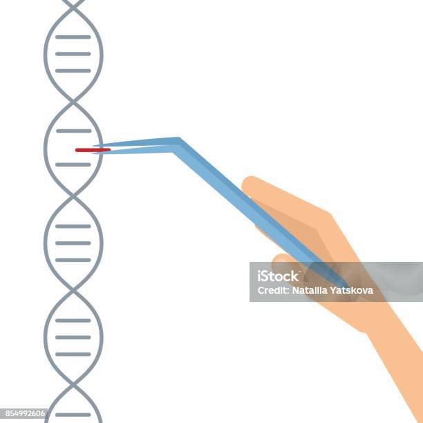 Dnasequenzierung Genom Informationen Speichern Stock Vektor Art und mehr Bilder von CRISPR - CRISPR, DNA, Krebs - Tumor