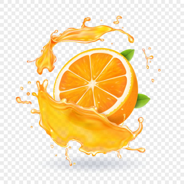 Orange juice splash. Realistic 3d fruit Orange juice in splash. Realistic 3d fruit vector. orange fruit stock illustrations