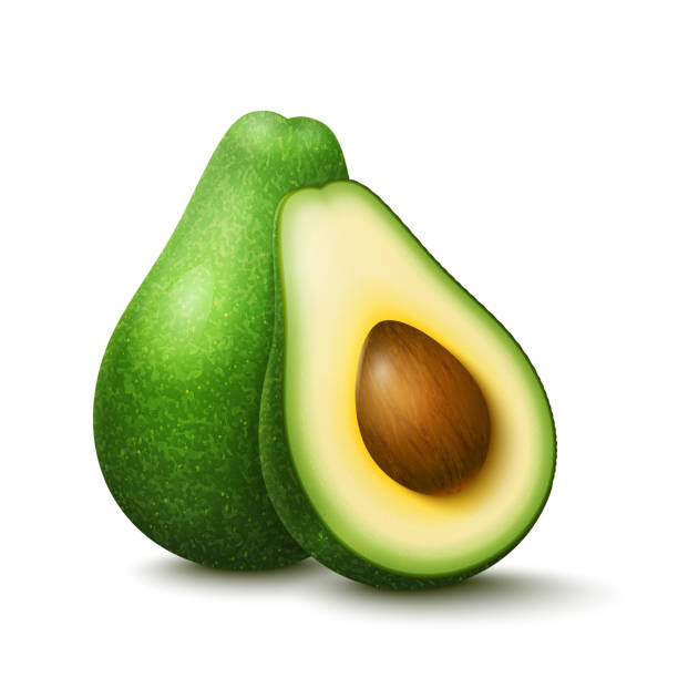 illustrazioni stock, clip art, cartoni animati e icone di tendenza di avocado di frutta fresca realistico vettoriale - avocado cross section vegetable seed