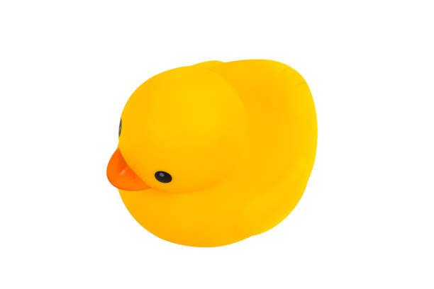 istock Yellow rubber duck toy, isolated on white background. 855008318