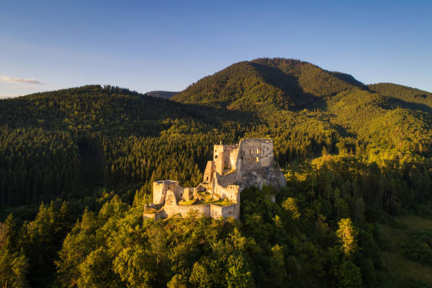 istock Abandoned ruins of a medieval castle in the forest 855011442
