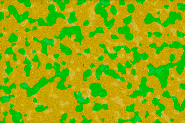 istock closeup of photo, computer generated animal skins texture spots 855014438