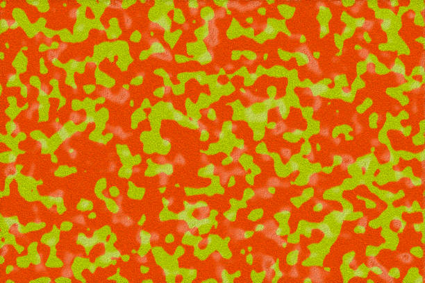 istock closeup of photo, computer generated animal skins texture spots 855014822