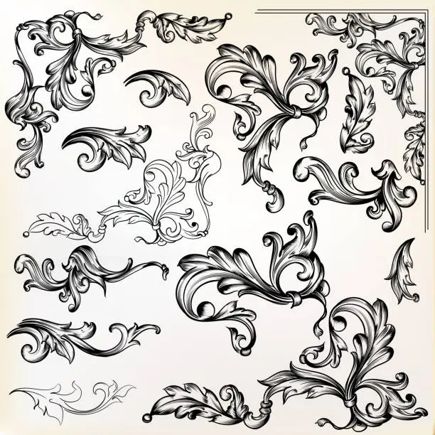 Vector illustration of Calligraphic vector vintage design elements and swirls