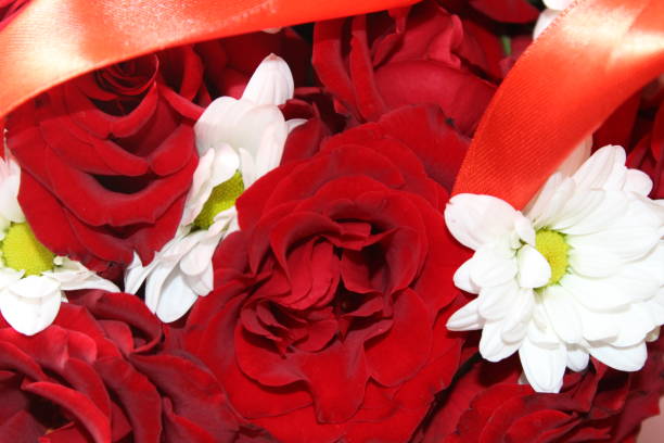 istock Beautiful flowers of a rose 855022550