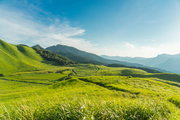 vista dell'altopiano, soni kougen in giappone - grass and blue sky foto e immagini stock