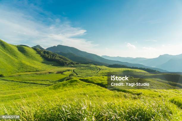 View Of The Plateausoni Kougen In Japan Stock Photo - Download Image Now - Landscape - Scenery, Nature, Scenics - Nature