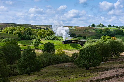 Goathland, Yorkshire, UK. A vintage steam train makes it's way across the heart of tyhe  North York Moor with rolling landscape, flora, and a scattering of sheep near Goathland, Yorkshire, UK.
