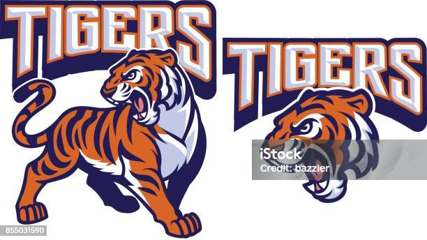 Colère Tigre Mascotte Vecteurs libres de droits et plus d'images vectorielles de Tigre - Tigre, Mascotte, Niveau de scolarisation