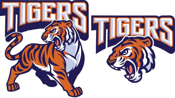 vector of angry tiger mascot