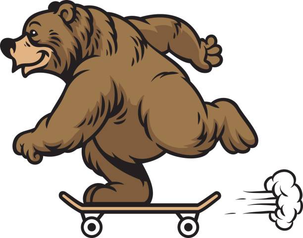 illustrazioni stock, clip art, cartoni animati e icone di tendenza di grizzly orso a cavallo skateboard - skateboard court