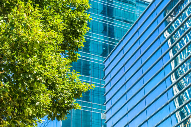 istock Details of a modern office building with a tree 855032190