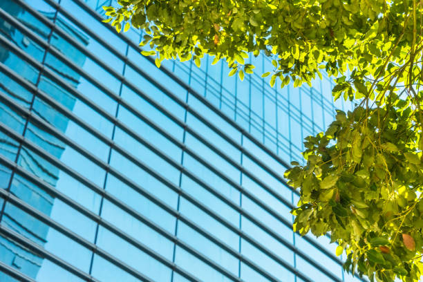 istock Details of a modern office building with leaves 855034490
