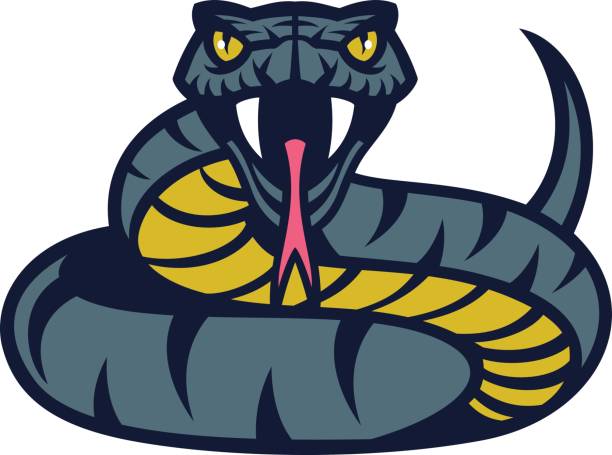 illustrazioni stock, clip art, cartoni animati e icone di tendenza di serpente vipera - snake rattlesnake poisonous organism fang