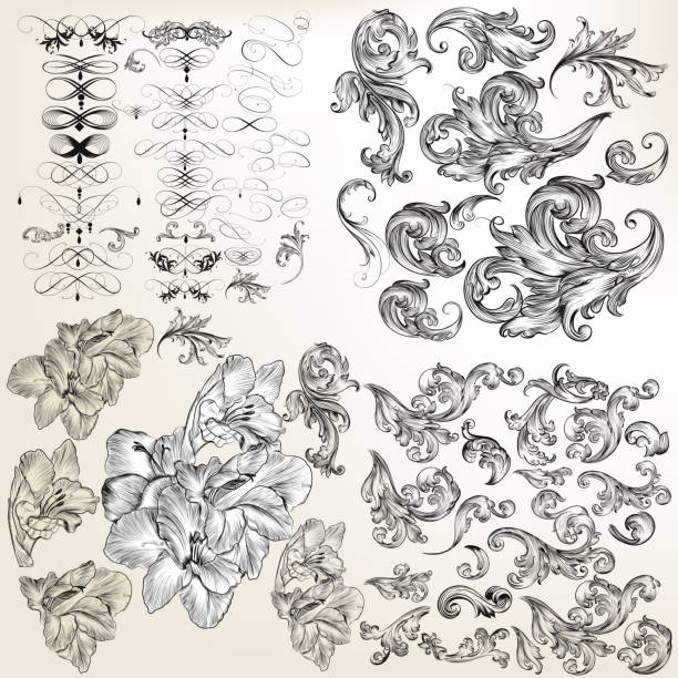 ilustraciones, imágenes clip art, dibujos animados e iconos de stock de gran conjunto de vectores florece, remolinos y flores hechos a mano - caligrafía ilustraciones