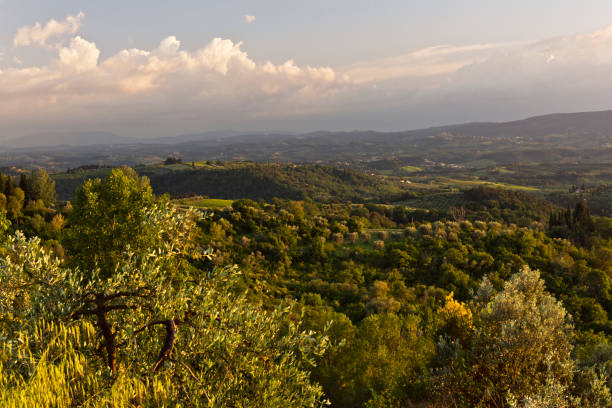 istock Evening landscape. Tuscany, Italy 855050004
