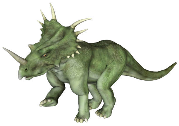 renderowanie 3d dinozaura styracosaurus na białym - primitive times zdjęcia i obrazy z banku zdjęć