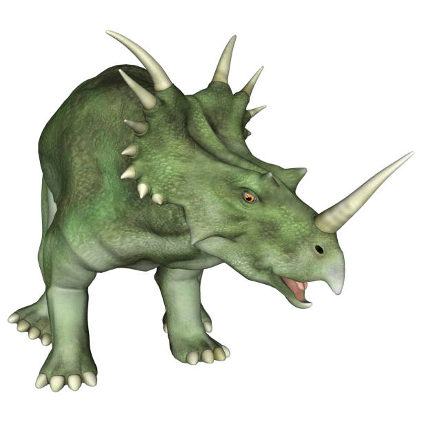 renderowanie 3d dinozaura styracosaurus na białym - primitive times zdjęcia i obrazy z banku zdjęć