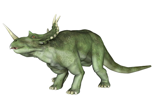 3D digital render of a dinosaur Styracosaurus or spiked lizard, a genus of herbivorous ceratopsian dinosaur from the Cretaceous Period (Campanian stage) isolated on white background