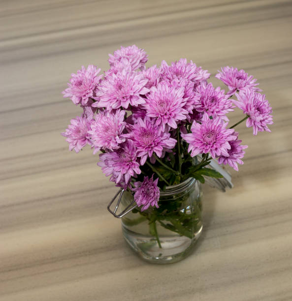 Pink chrysanthemum flower in jar on table