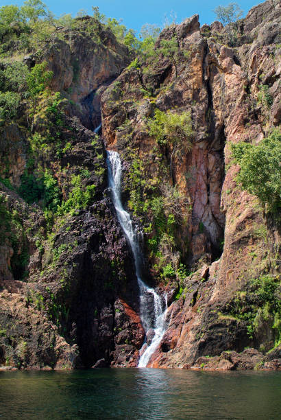 australia, litchfield park - wangi falls imagens e fotografias de stock