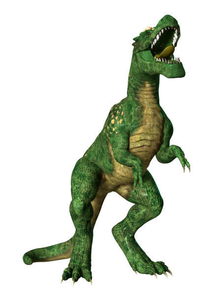istock 3D rendering dinosaur Tyrannosaurus Rex on white 855055438
