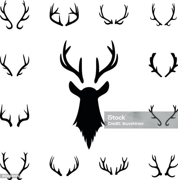 Deer S Head And Antlers Set Design Elements Of Deer Stock Illustration - Download Image Now