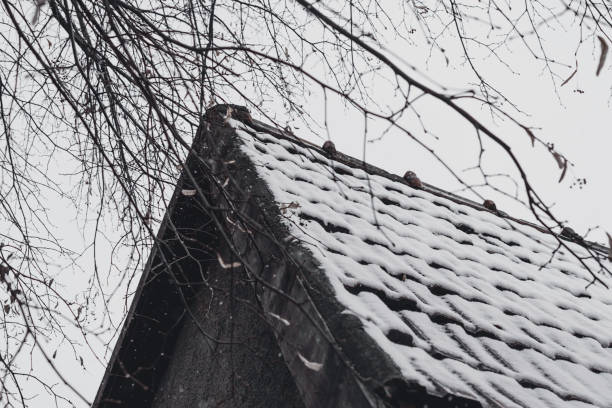 низкий угол зрения заброшенного дома с заснеженной крышей против moody sky в зимний период - shed cottage hut barn стоковые фото и изображения