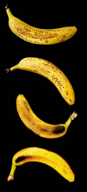 ripe bananas isolated on black