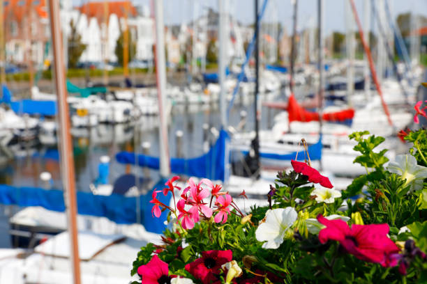 istock The harbor of Brouwershaven, Netherlands 855070822