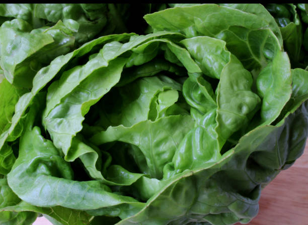 istock salad on the wood background 855073164