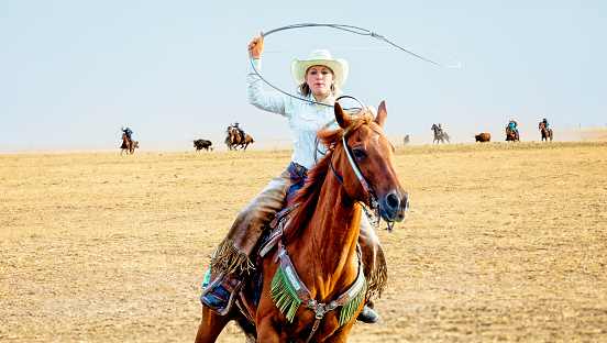 Cowgirl gets ready to lasso a bull while running her horse while others do the same