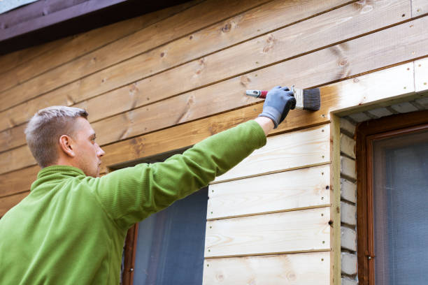 istock painter with paintbrush painting house wood facade 855082606