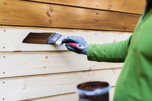 istock painter with paintbrush painting house facade with protective color 855082700