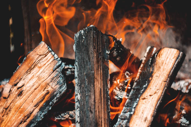 Close-Up Of Intricately Burning Campfire With Beautiful Flames And Charcoal A close-up shot of an intricately burning campfire with beautiful flames and charcoal. wood log close up stock pictures, royalty-free photos & images