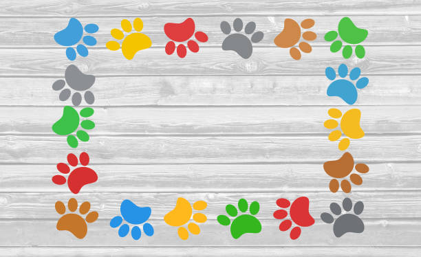 istock Colorful paw prints animal frame on wooden background 855091206