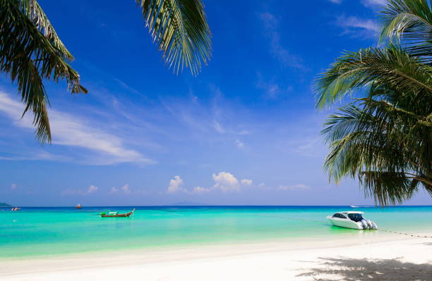 istock Thailand. Sea background. Palms, white sand, yacht 855098236